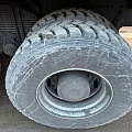 Shacman (Shaanxi) SX 8x4 Самосвал, 2022, 123 540 км