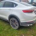 Geely Tugella, 2023, 17 182 км