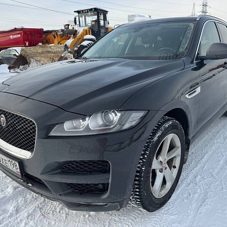 Jaguar  