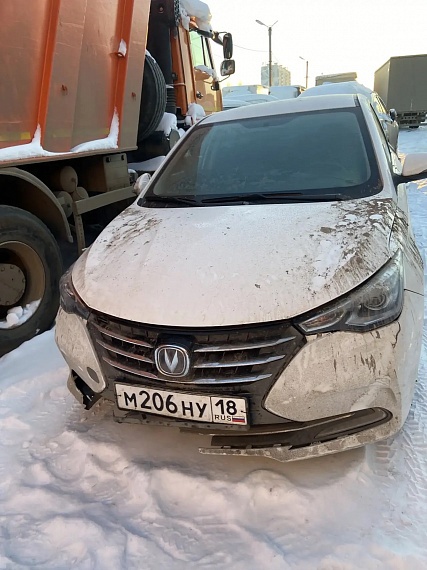 Changan Alsvin, 2023, 116 129 км