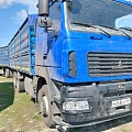 МАЗ 6312 6x4 Зерновоз, 2024, 99 537 км