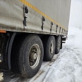 ICE BEAR TDZ94 Полуприцеп шторный, 2024