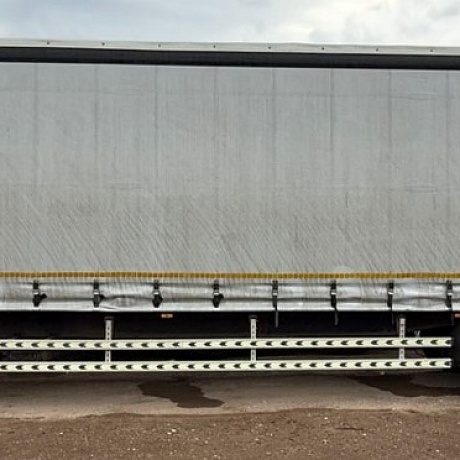 ICE BEAR  