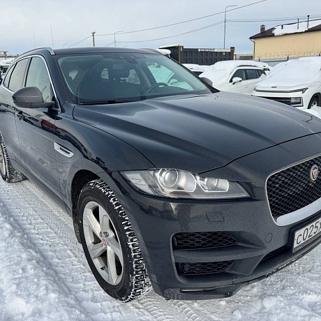 Jaguar  