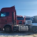 MAN TGX 4x2 Седельный тягач, 2021