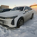 EXEED RX, 2023, 9 260 км