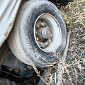 Тонар 9746 Полуприцеп шторный, 2019