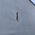 Тонар 9746 Полуприцеп шторный, 2019