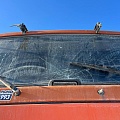 КамАЗ 6520 6x4 Самосвал, 2023, 31 889 км