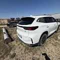 EXEED TXL, 2022, 132 818 км