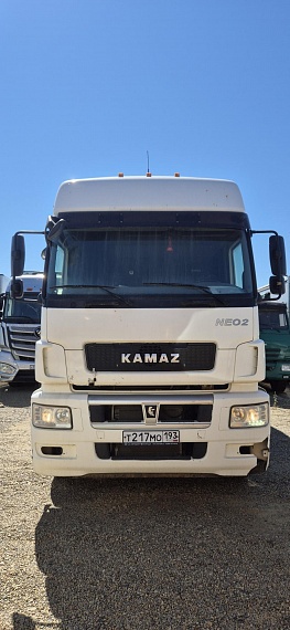 КамАЗ 5490 4x2 Седельный тягач, 2021, 312 187 км
