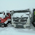Shacman (Shaanxi) SX 8x4 Самосвал, 2024, 126 077 км