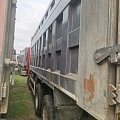 Shacman (Shaanxi) SX 8x4 Самосвал, 2022