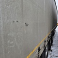 ICE BEAR TDZ94 Полуприцеп шторный, 2024